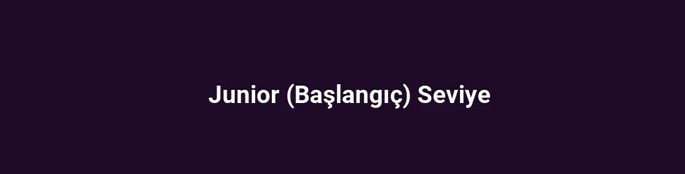 Junior (Başlangıç) Seviye