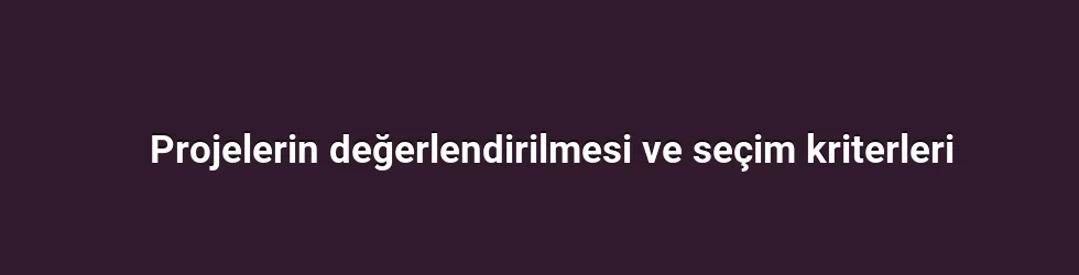 Projelerin değerlendirilmesi ve seçim kriterleri