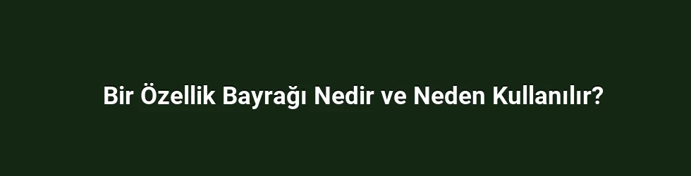 Bir Özellik Bayrağı Nedir ve Neden Kullanılır?