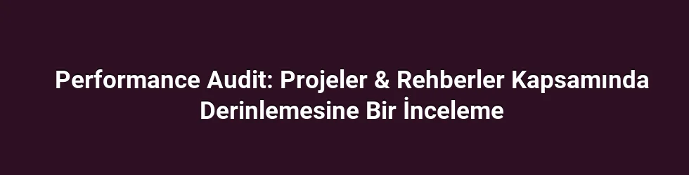 Performance Audit: Projeler & Rehberler Kapsamında Derinlemesine Bir İnceleme