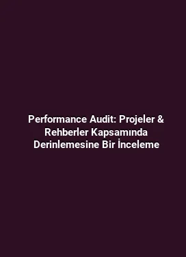 Performance Audit: Projeler & Rehberler Kapsamında Derinlemesine Bir İnceleme