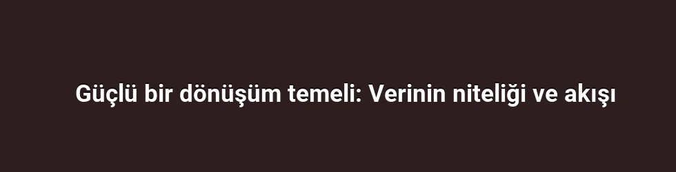 Güçlü bir dönüşüm temeli: Verinin niteliği ve akışı