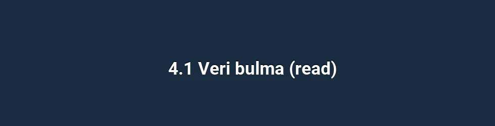 4.1 Veri bulma (read)