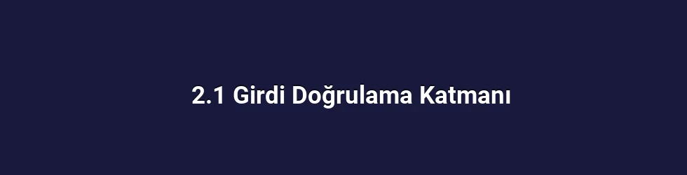 2.1 Girdi Doğrulama Katmanı