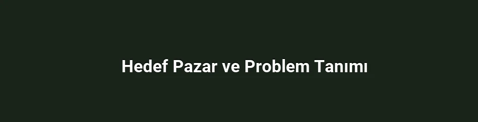 Hedef Pazar ve Problem Tanımı