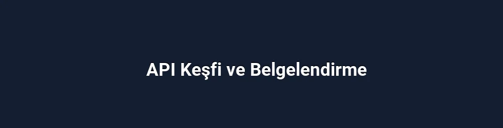 API Keşfi ve Belgelendirme