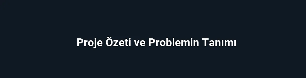Proje Özeti ve Problemin Tanımı