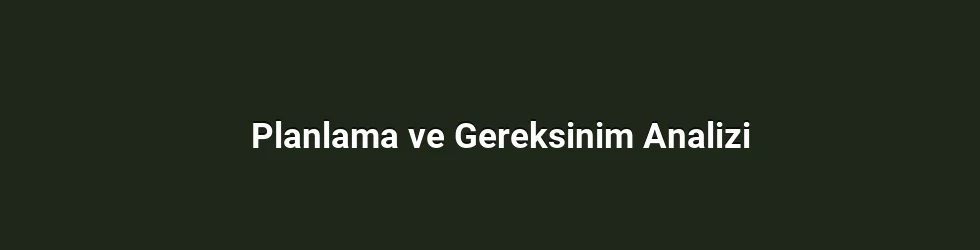Planlama ve Gereksinim Analizi