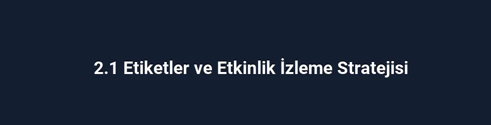 2.1 Etiketler ve Etkinlik İzleme Stratejisi