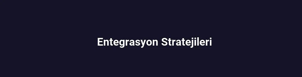 Entegrasyon Stratejileri