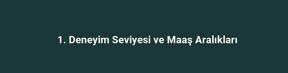 1. Deneyim Seviyesi ve Maaş Aralıkları