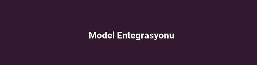 Model Entegrasyonu