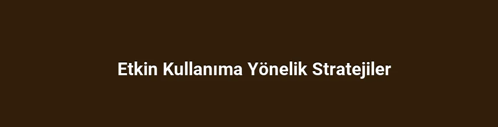Etkin Kullanıma Yönelik Stratejiler