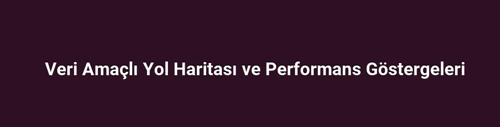 Veri Amaçlı Yol Haritası ve Performans Göstergeleri