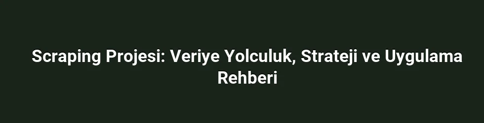 Scraping Projesi: Veriye Yolculuk, Strateji ve Uygulama Rehberi