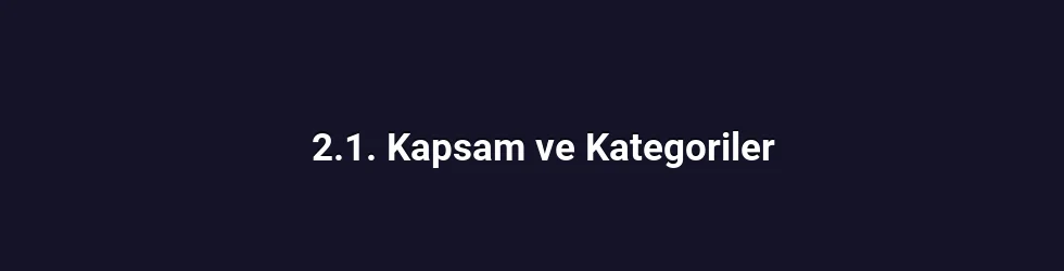 2.1. Kapsam ve Kategoriler