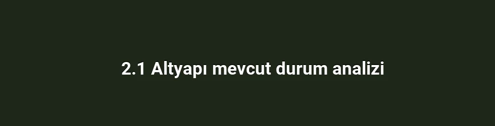 2.1 Altyapı mevcut durum analizi