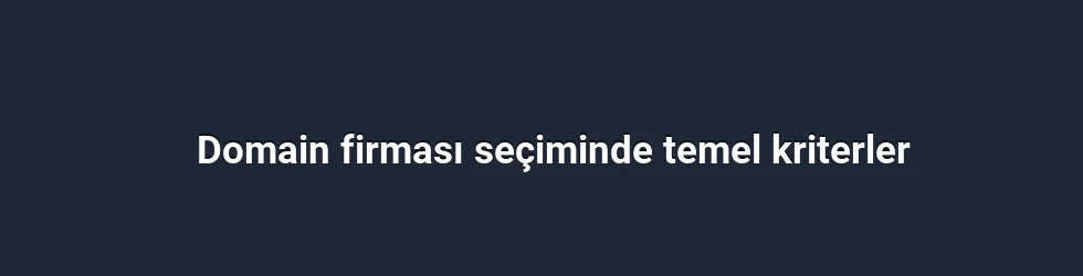Domain firması seçiminde temel kriterler
