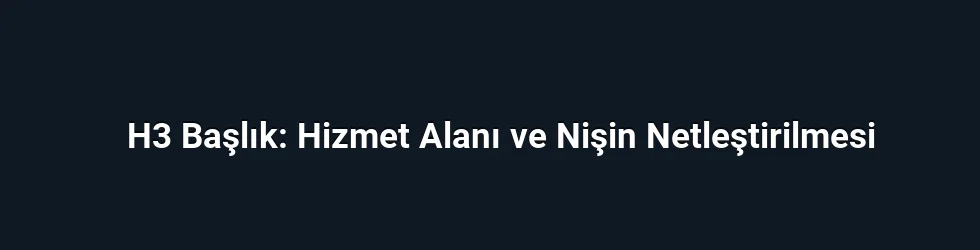 H3 Başlık: Hizmet Alanı ve Nişin Netleştirilmesi