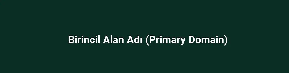 Birincil Alan Adı (Primary Domain)