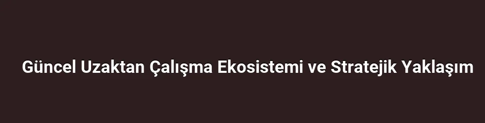 Güncel Uzaktan Çalışma Ekosistemi ve Stratejik Yaklaşım