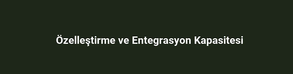 Özelleştirme ve Entegrasyon Kapasitesi