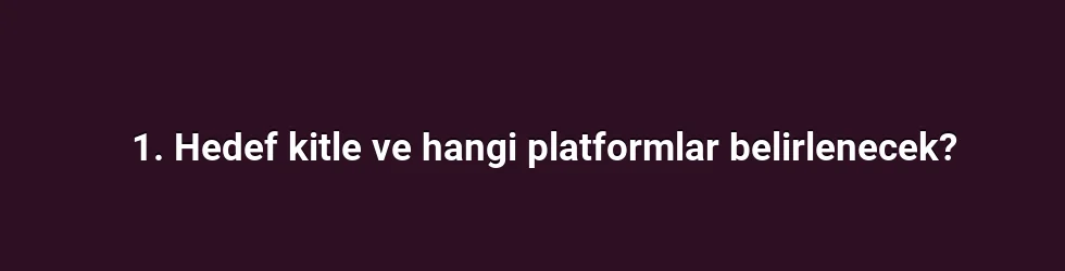 1. Hedef kitle ve hangi platformlar belirlenecek?