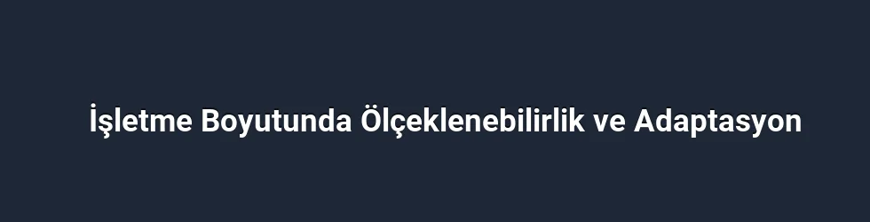 İşletme Boyutunda Ölçeklenebilirlik ve Adaptasyon