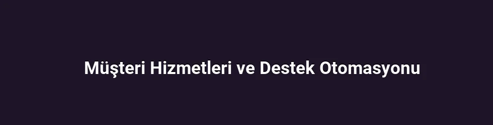 Müşteri Hizmetleri ve Destek Otomasyonu