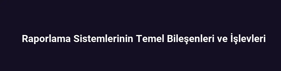 Raporlama Sistemlerinin Temel Bileşenleri ve İşlevleri
