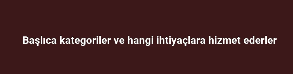 Başlıca kategoriler ve hangi ihtiyaçlara hizmet ederler