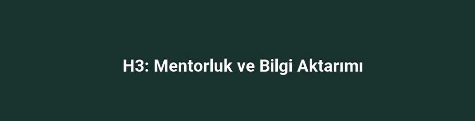 H3: Mentorluk ve Bilgi Aktarımı