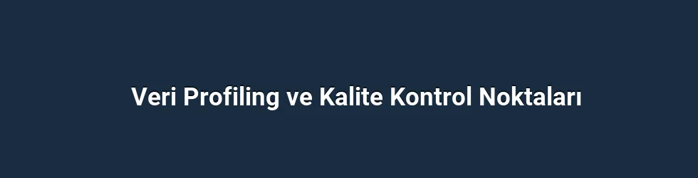 Veri Profiling ve Kalite Kontrol Noktaları