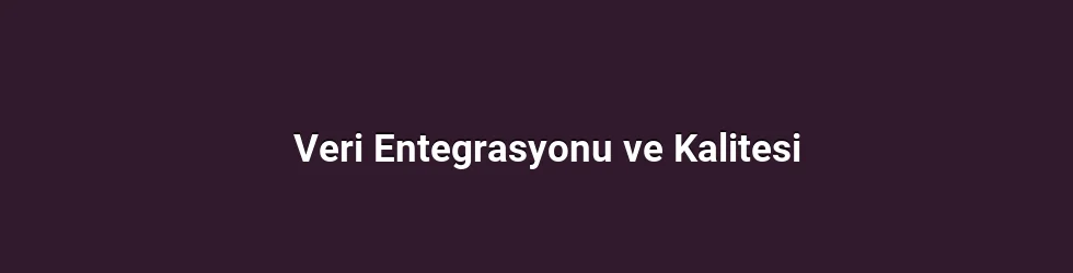 Veri Entegrasyonu ve Kalitesi