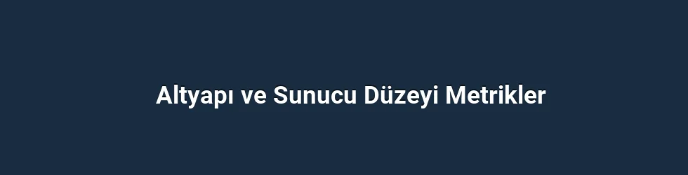 Altyapı ve Sunucu Düzeyi Metrikler