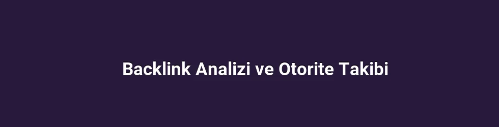 Backlink Analizi ve Otorite Takibi