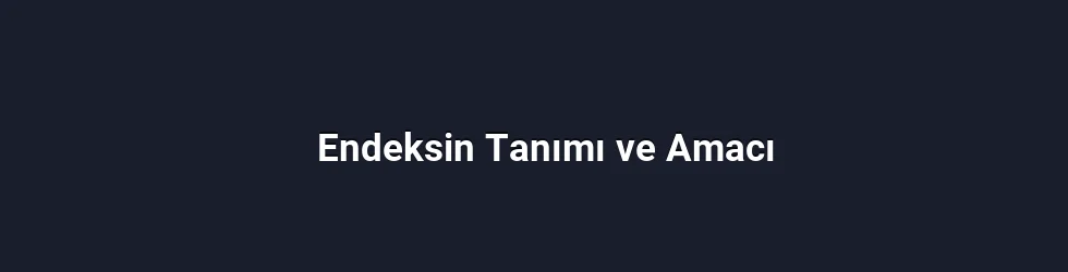 Endeksin Tanımı ve Amacı