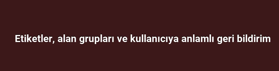 Etiketler, alan grupları ve kullanıcıya anlamlı geri bildirim