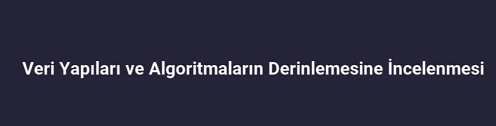 Veri Yapıları ve Algoritmaların Derinlemesine İncelenmesi