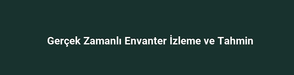 Gerçek Zamanlı Envanter İzleme ve Tahmin