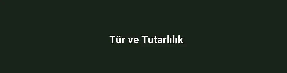 Tür ve Tutarlılık