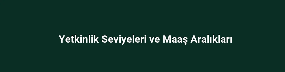Yetkinlik Seviyeleri ve Maaş Aralıkları