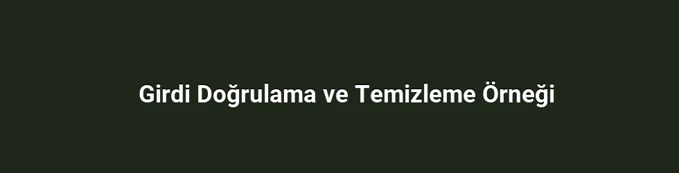 Girdi Doğrulama ve Temizleme Örneği