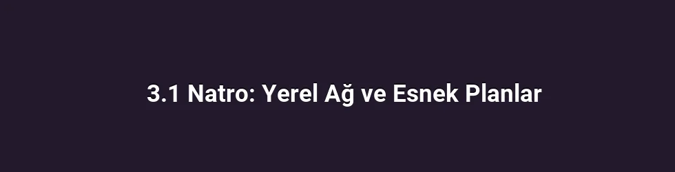 3.1 Natro: Yerel Ağ ve Esnek Planlar